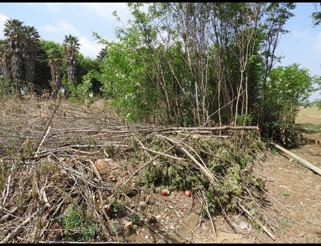 1,088M² VACANT LAND FOR SALE IN WALDRIFT